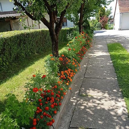 Apartman Skudar Bjelovar Luaran gambar