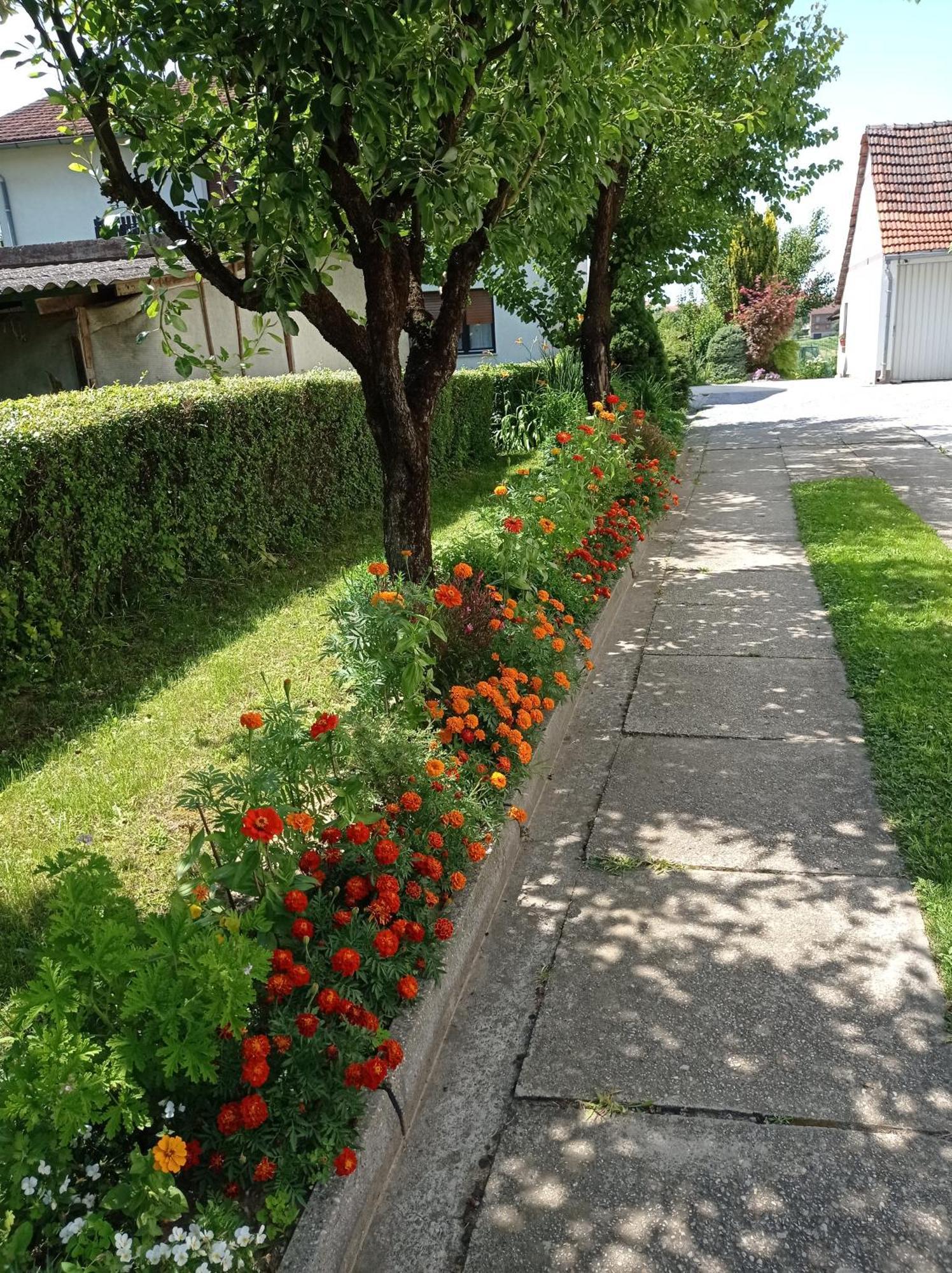Apartman Skudar Bjelovar Luaran gambar